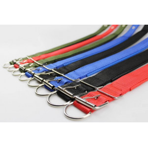 狗项圈小型犬泰迪金毛宠物颈圈中小型犬狗狗项圈脖圈脖套宠物用品