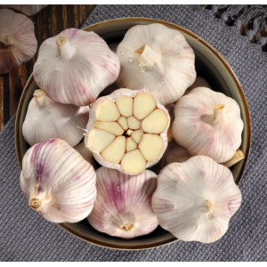 新干蒜大蒜头紫白皮干蒜食用调味