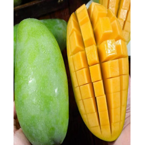 越南大青芒新鲜芒果