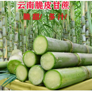 云南脆皮甘蔗青皮甘蔗薄皮可手撕新鲜水果清甜多汁